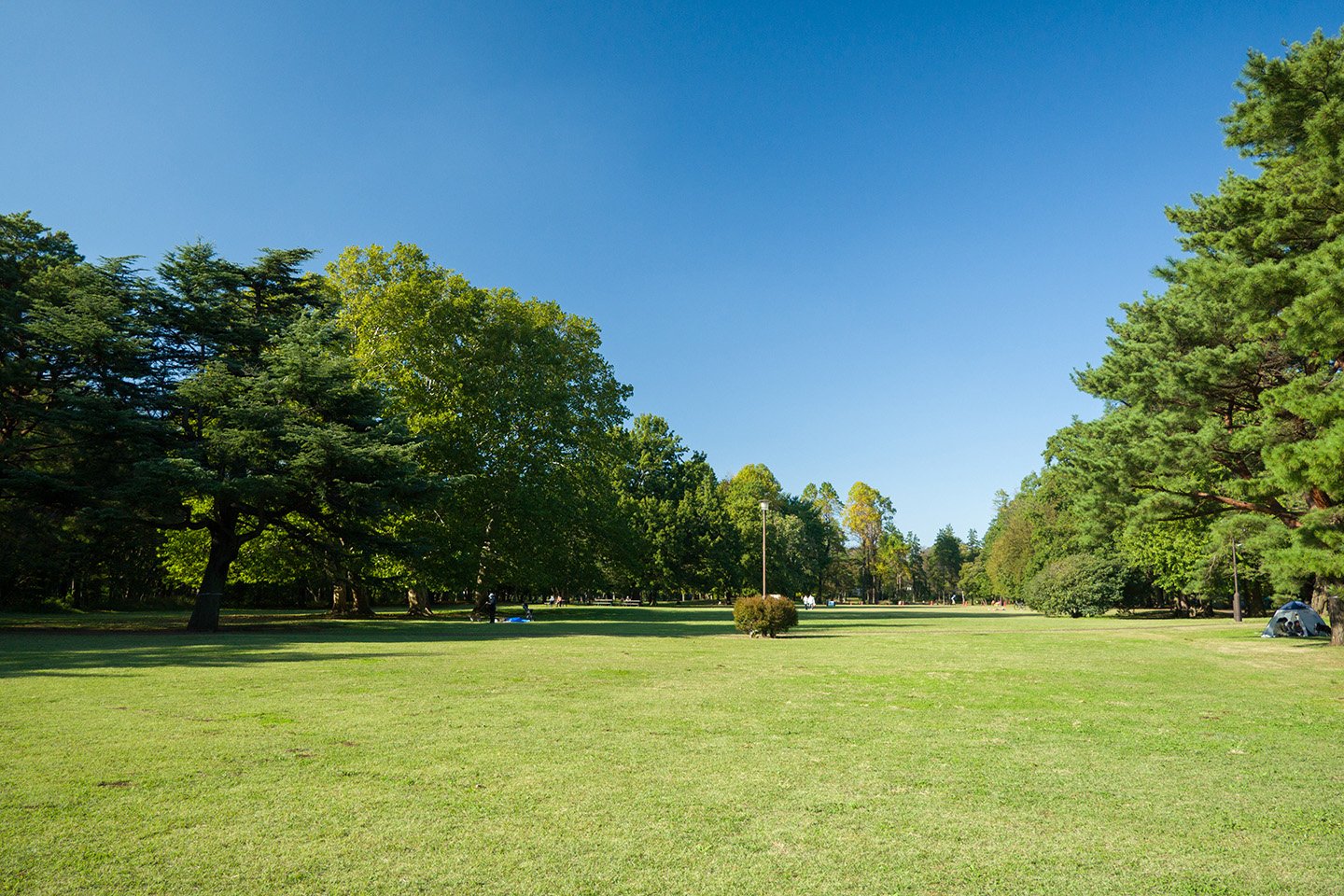🏞️ 노가와 공원 (노가와코엔) 이미지 1